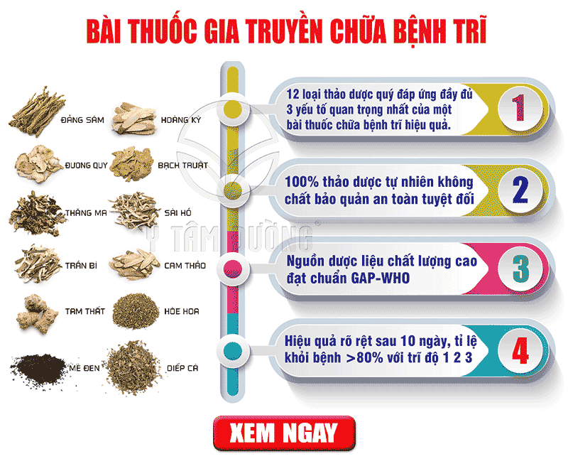 Thuốc Trị Bệnh Trĩ khang trĩ thang