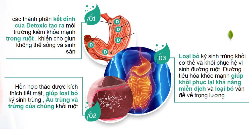 Detoxic có tác dụng gì