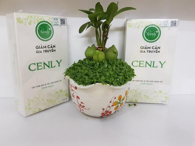 Thuốc giảm cân Cenly