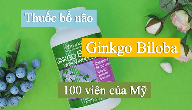 Ginkgo Biloba 120mg có thực sự tốt hay không? Cùng Nilp giải đáp