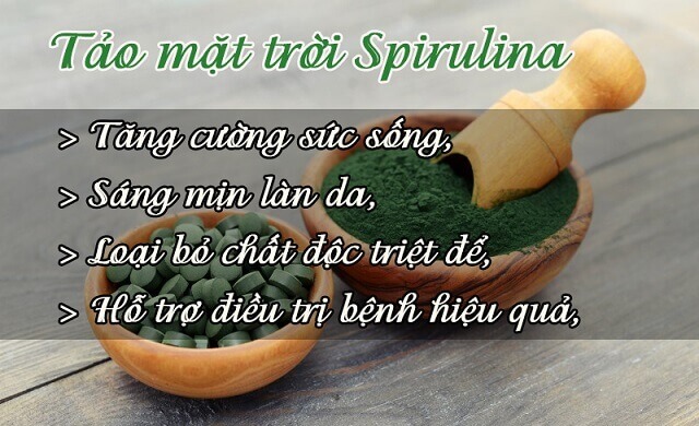 Tảo mặt trời Spirulina