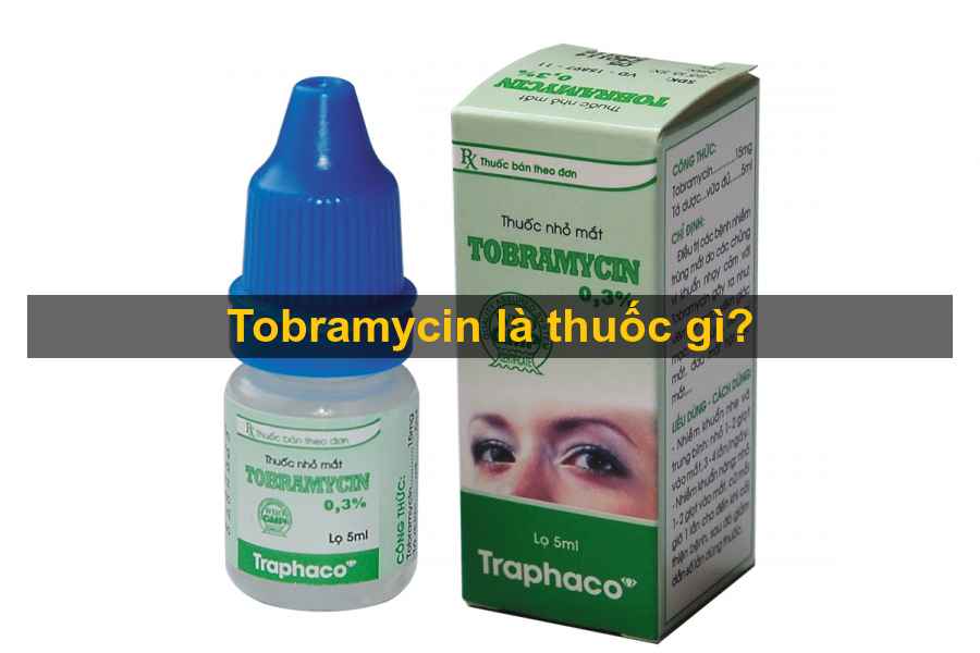 Thuoc Nho THUỐC NHỎ MẮT TOBRAMYCINMat Tobramycin
