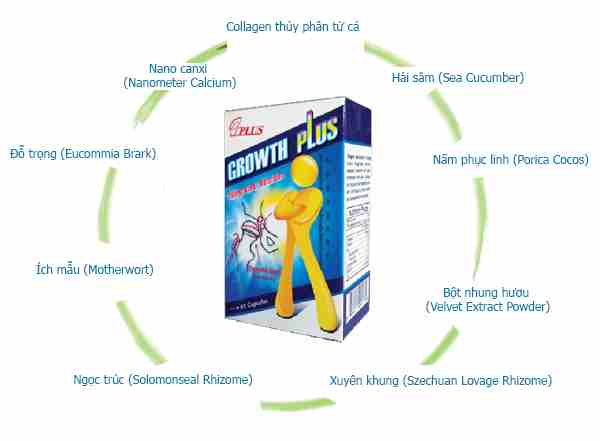 THUỐC TĂNG CHIỀU CAO GROWTH MAX PLUS