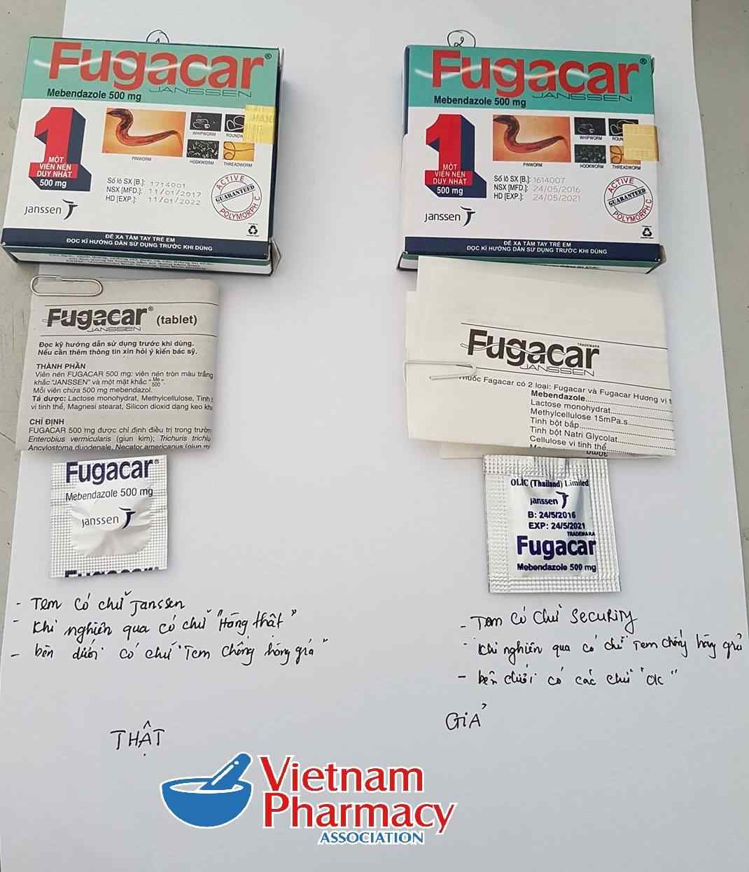 C&Aacute;CH PH&Acirc;N BIỆT FUGACAR THẬT HAY GIẢ