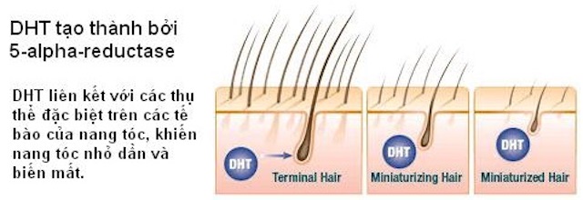 MAXXHAIR CÓ TỐT KHÔNG (1)