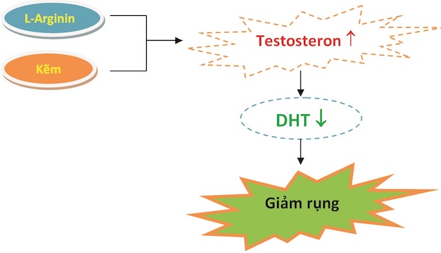 MAXXHAIR CÓ TỐT KHÔNG (2)