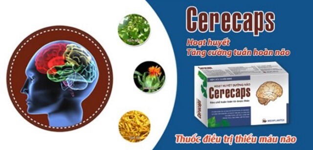 Thành phần Cerecaps