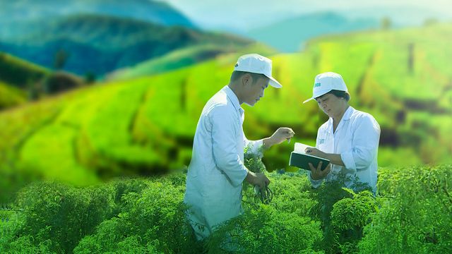 THÀNH PHẦN HOẠT HUYẾT DƯỠNG NÃO TRAPHACO