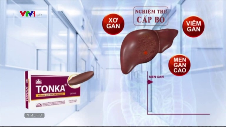 thuốc giải độc gan tonka có tốt không
