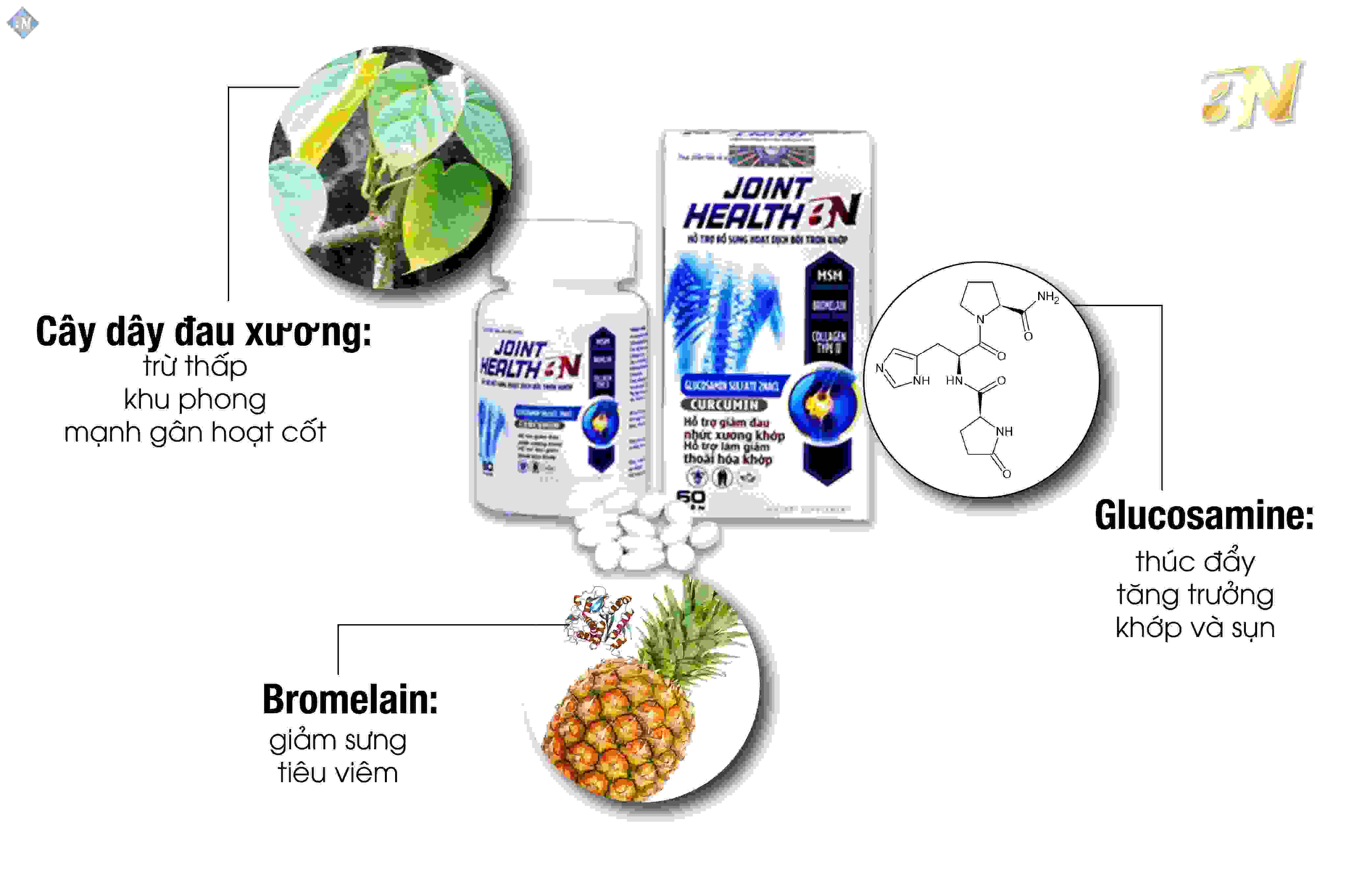 Xương Khớp BN 2020: Cách Dùng, Giá Bán, Đánh Giá Người Dùng, Tác Dụng Phụ THÀNH PHẦN XƯƠNG KHỚP BN
