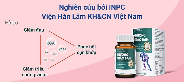 KHƯƠNG THẢO ĐAN CÓ TÁC DỤNG GÌ