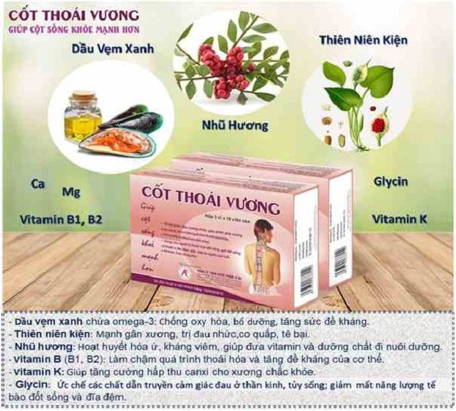 THÀNH PHẦN CỐT THOÁI VƯƠNG