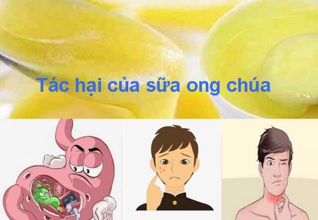 Sữa Ong Chúa Là Gì, Cách Dùng Đắp Mặt, Những Người Nào Không Nên Uống Tác hại của sữa ong chúa