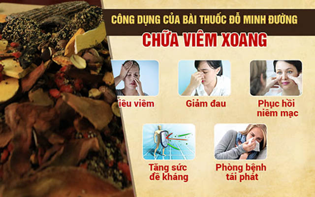 Tác dụng điều trị viêm xoang bằng thuốc nam gia truyền Đỗ Minh