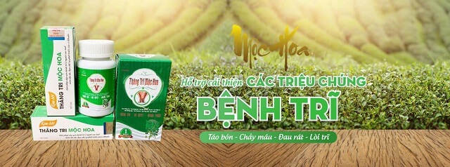 Thăng Trĩ Mộc Hoa