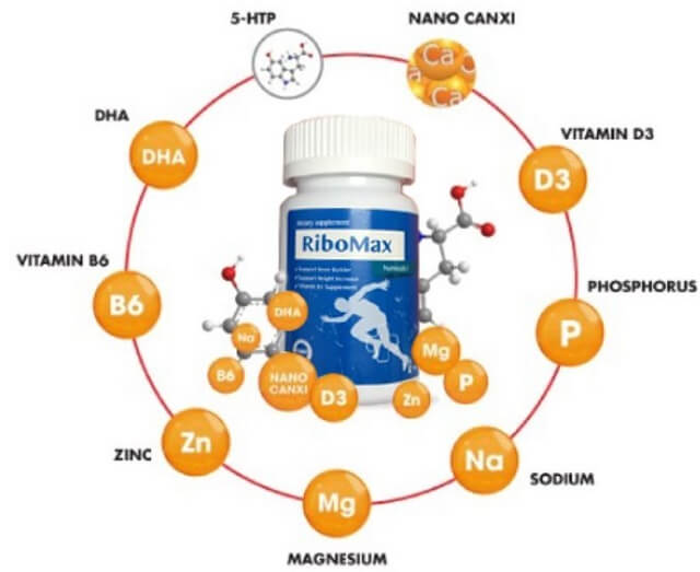 Thành phần Ribomax
