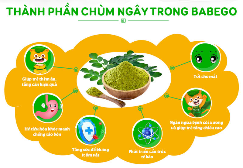 Sự thật Tất tần tật về Sữa tăng cân Babego: Có tốt không? Thành phần, công dụng, cách dùng, đánh giá, nơi mua.... Chùm ngây