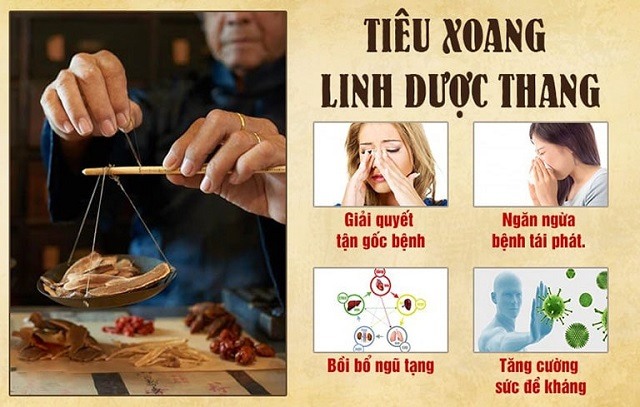 Co Che Dieu Trị Cua Tieu Xoang Linh Duoc Thang