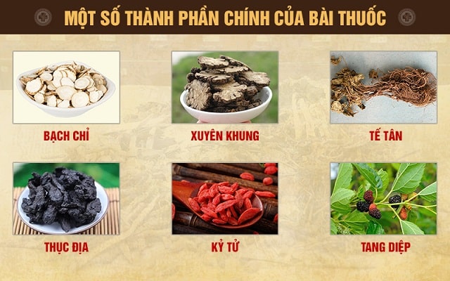 Mot So Thanh Phan Trong Bai Thuoc Tieu Xoang Linh Duoc Thang