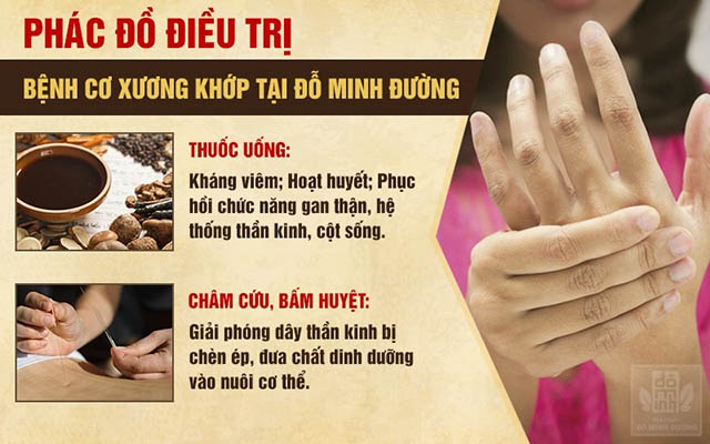 Phác đồ chữa bệnh xương khớp "Trong uống - Ngoài châm" đảm bảo tính toàn diện, chuyên sâu