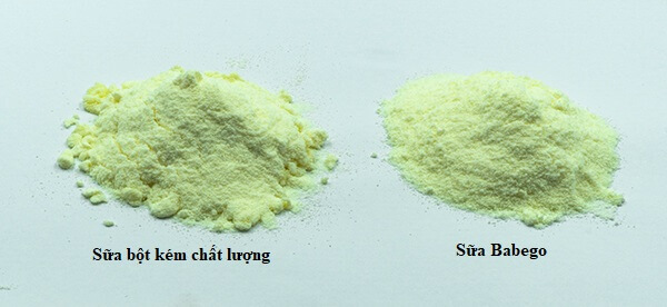 Sự thật Tất tần tật về Sữa tăng cân Babego: Có tốt không? Thành phần, công dụng, cách dùng, đánh giá, nơi mua.... Hạt sữa và màu sữa