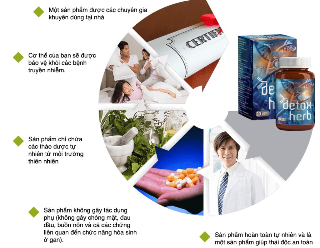 DETOXHERB CÓ TỐT KHÔNG