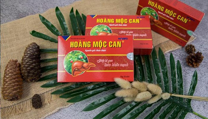 ĐỐI TƯỢNG SỬ DỤNG HOÀNG MỘC CAN