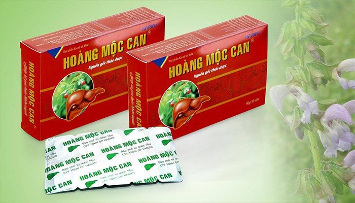 ĐÁNH GIÁ HOÀN MỘC CAN