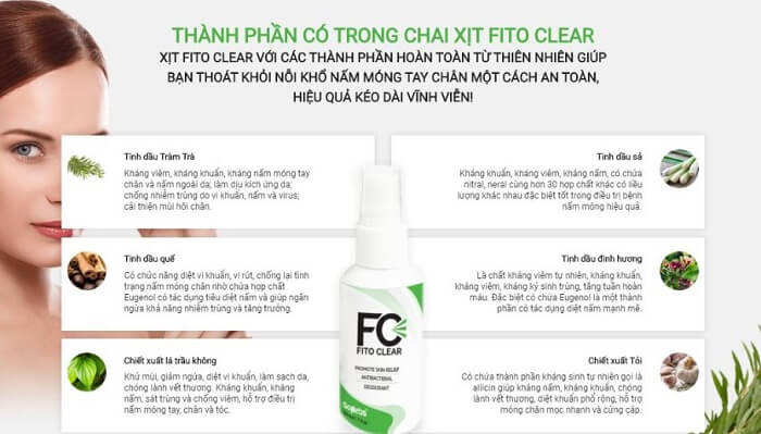 Thành phần Fito Clear