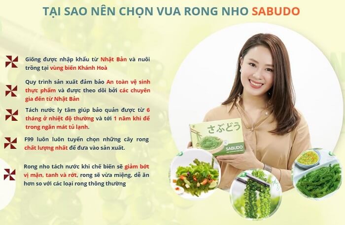 Rong nho Sabudo có tốt không