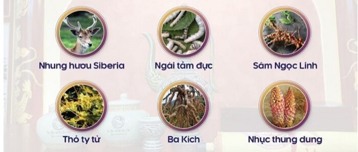 Thành phần Uy Long Đại Bổ