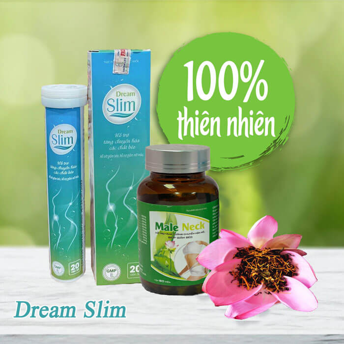 THÀNH PHẦN DREAM SLIM