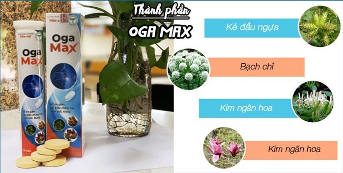 Thành phần Oga Max