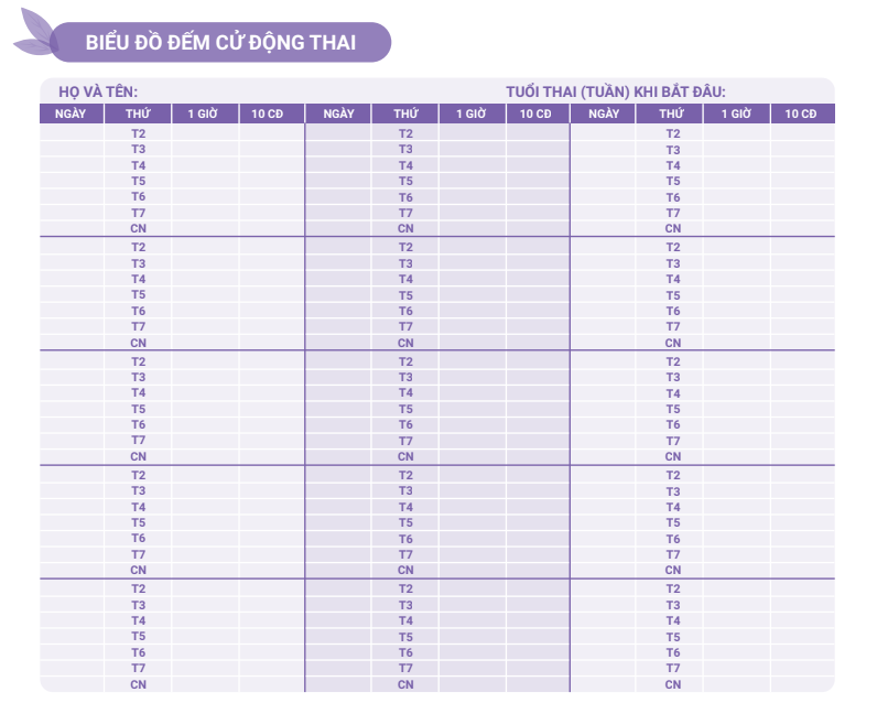 Hướng dẫn được cung cấp cho tất cả các bà mẹ mang thai từ tuần 28 tại Vinmec