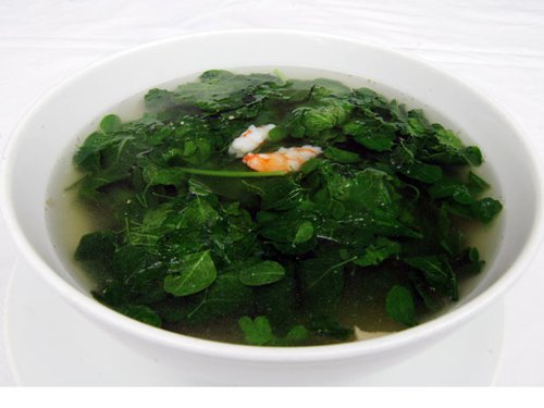 Rau chùm ngây có thực sự tốt? Rau chùm ngây