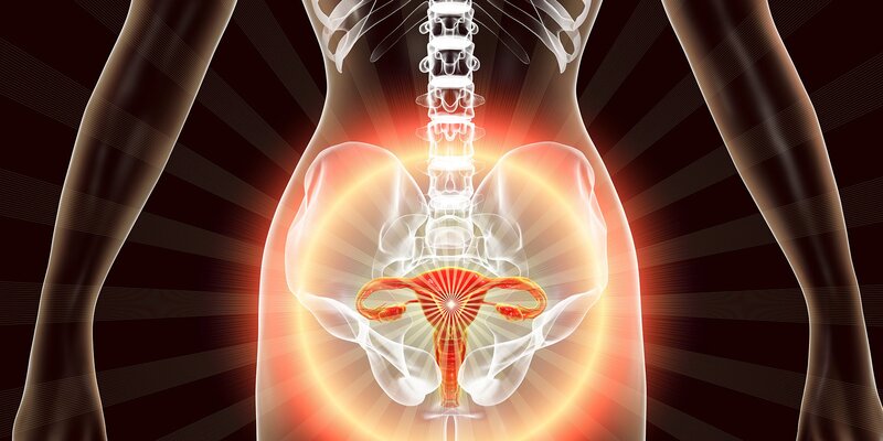 Progesterone là gì? Vai trò của hormone progesterone với cơ thể Progesterone là gì? Vai trò của hormone progesterone với cơ thể