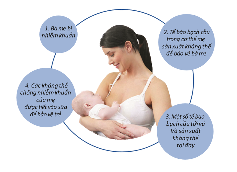 Sữa mẹ - Lợi ích tuyệt vời cho trẻ Sữa mẹ – Lợi ích tuyệt vời cho trẻ
