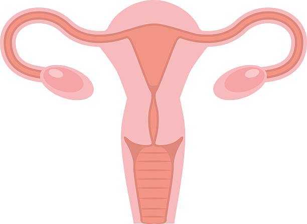 Bệnh ở cổ tử cung là gì? Cách phòng bệnh viêm cổ tử cung?