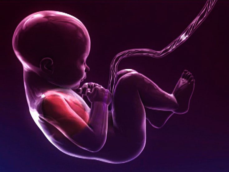 Tình trạng dây rốn thắt nút là gì? Cách chữa dây rốn thắt nút Tình trạng dây rốn thắt nút là gì? Cách chữa dây rốn thắt nút