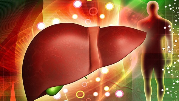 Tầm soát viêm gan mãn tính ở Việt Nam Người bệnh viêm gan mạn tính nên ăn, kiêng gì? | VIAM