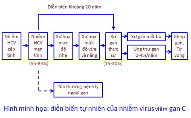 Một số tiến bộ trong điều trị viêm gan C