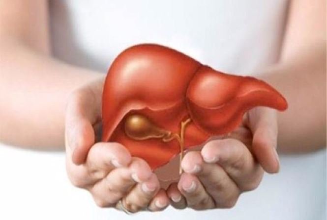 Phần lớn người ghép gan đang được hiến gan từ người thân, bạn bè
