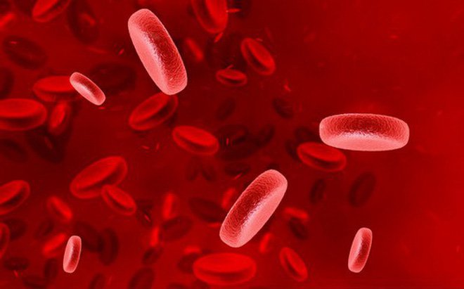 Triệu chứng và cách chữa trị cho bệnh Leukemia cấp