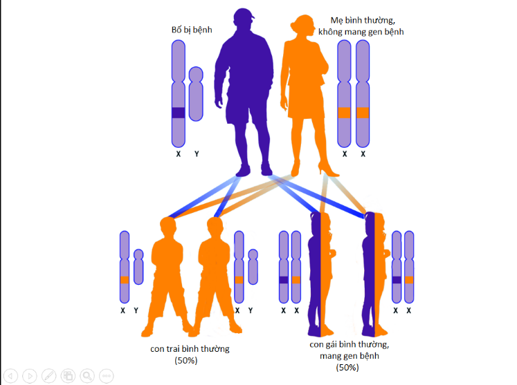 Triệu chứng và cách điều trị bệnh thiếu enzym G6PD