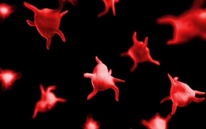 Tìm hiểu về rối loạn giảm tiểu cầu ở trẻ em