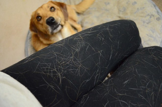 Cách xử trí khi trẻ bị viêm mũi dị ứng quanh năm