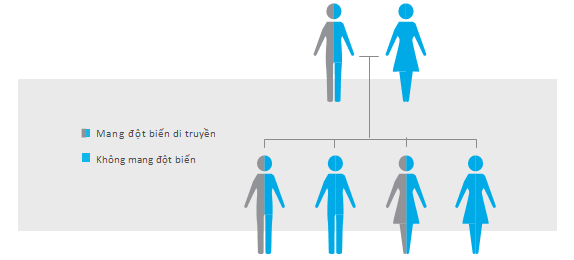 Những điều cần làm trong quá trình xét nghiệm ung thư di truyền Những điều cần làm trong quá trình xét nghiệm ung thư di truyền