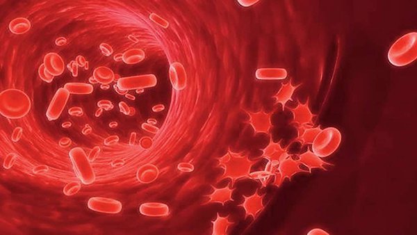 Xét nghiệm ối bệnh máu khó đông khi mang thai