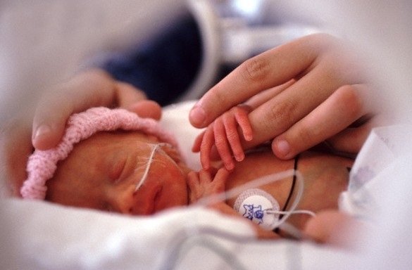 Phương pháp giúp trẻ sinh non phát triển tốt như trẻ sinh thường