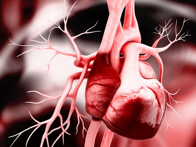 Bệnh tim mạch - Dấu hiệu phát hiện Những vấn đề thường gặp trong tim mạch | Vinmec